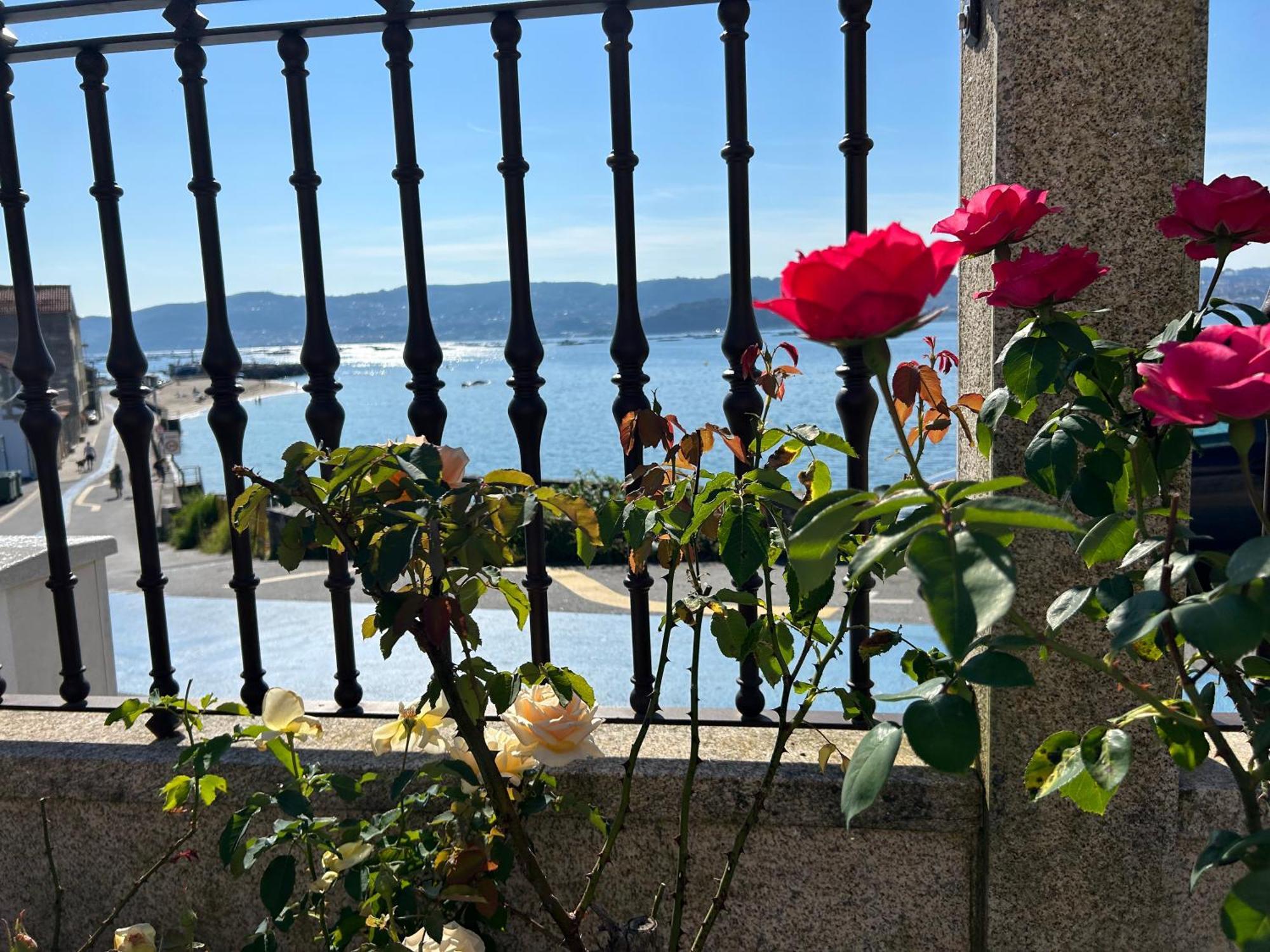 Masandia Moaña Buitenkant foto